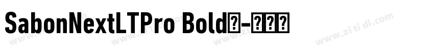 SabonNextLTPro Bold◆字体转换